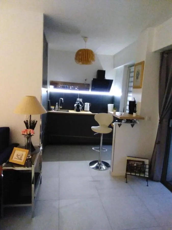 Nice- Gairaut - Jardin Prive- Grand F1 Lumineux-Piscine Collective Appartamento
