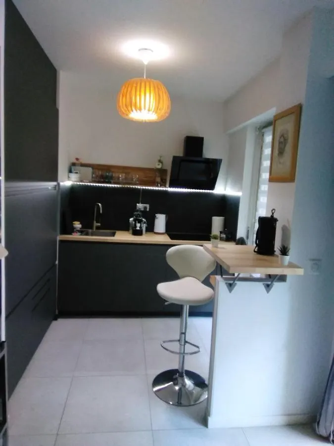 Nice- Gairaut - Jardin Prive- Grand F1 Lumineux-Piscine Collective