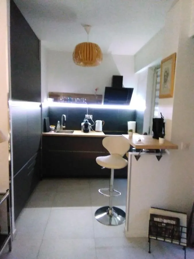 Nice- Gairaut - Jardin Prive- Grand F1 Lumineux-Piscine Collective 0*, Nice