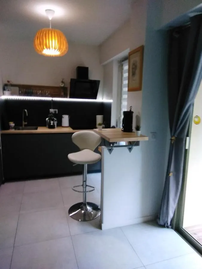 Apartment Nice- Gairaut - Jardin Prive- Grand F1 Lumineux-Piscine Collective