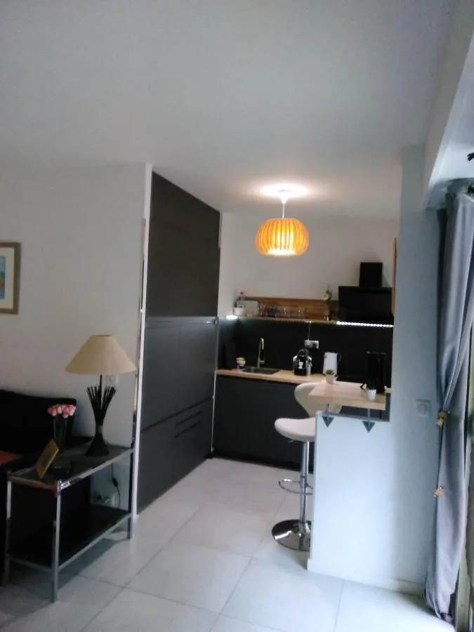 Apartment Nice- Gairaut - Jardin Prive- Grand F1 Lumineux-Piscine Collective